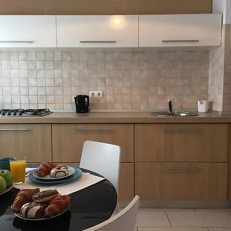 Victoriei Holiday Appartement Boekarest